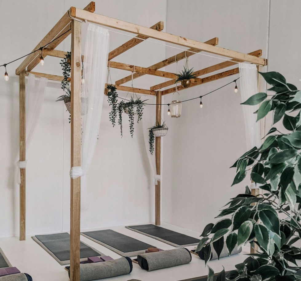 Transform Your Fall Semester with Artificial Plants